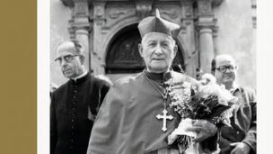 Cena pro knihu historika Šebka image:Image Cena pro knihu historika Šebka