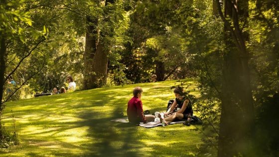 image:Image Zásadní je, co sami prožíváme