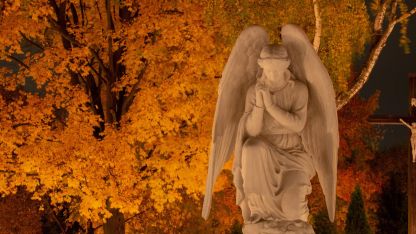 image:Image Dovolte si truchlit