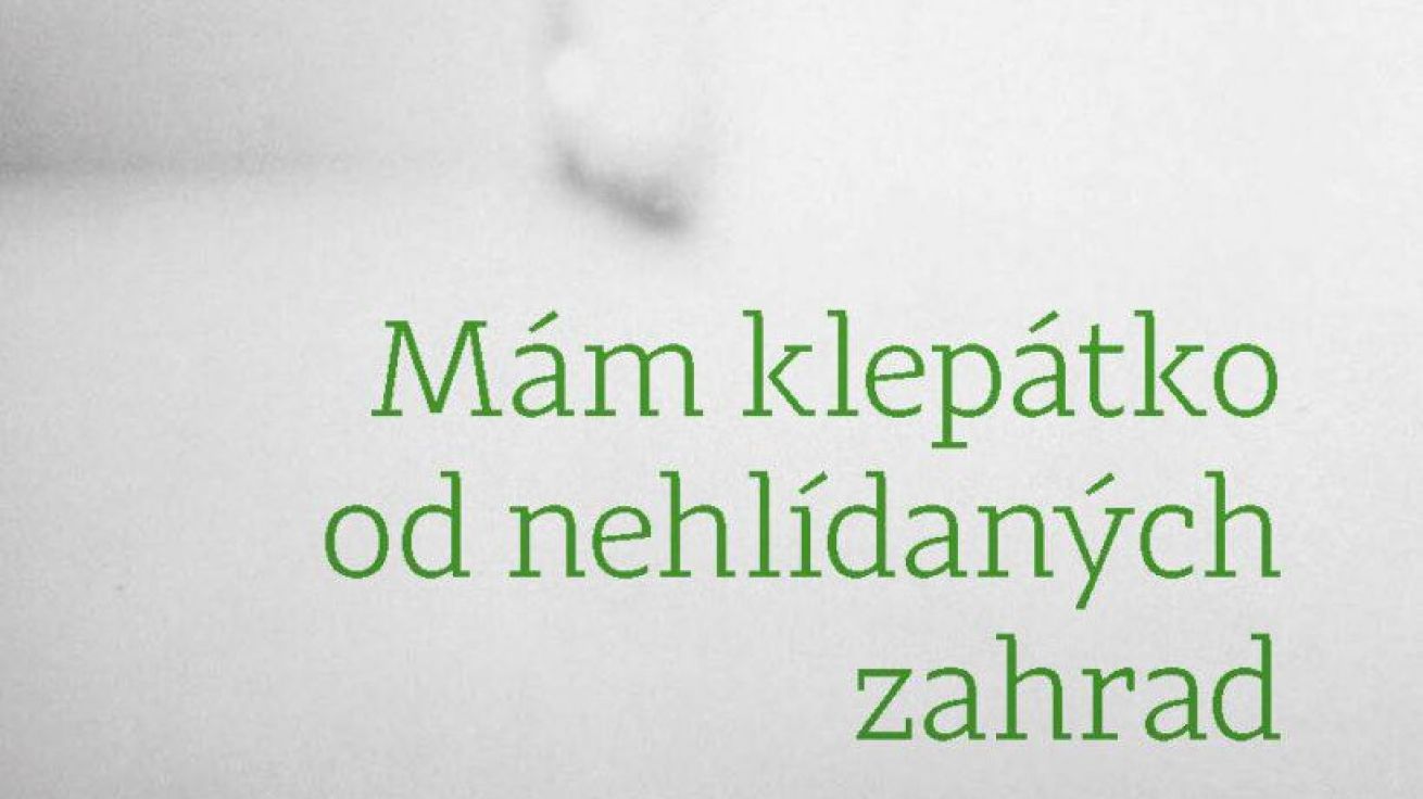 image:Image 