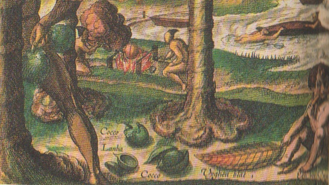 image:Image „Divoši“ sklízejí kokosové ořechy na vyobrazení z cestopisu nizozemského obchodníka Jana Huyghena van Linschotena (1563-1611).
