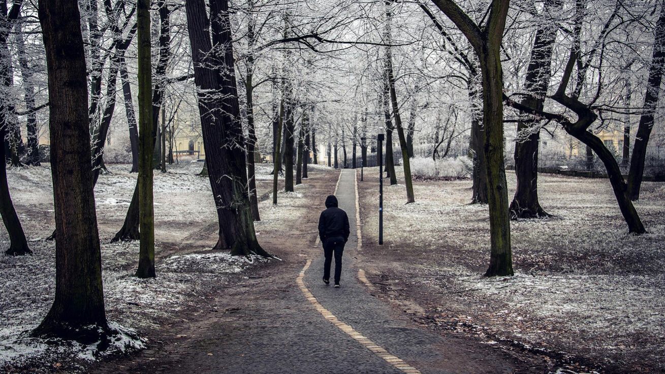 image:Image Jak nás naše životní role a cesty ovlivňují?