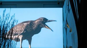 image:Image Foto: Hudbu jak vesmír rozlehlou, širou jak poledne