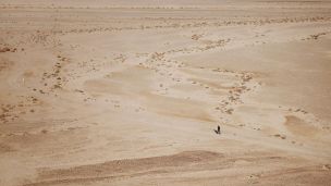 Ta pravá studna na poušti image:Image Ta pravá studna na poušti