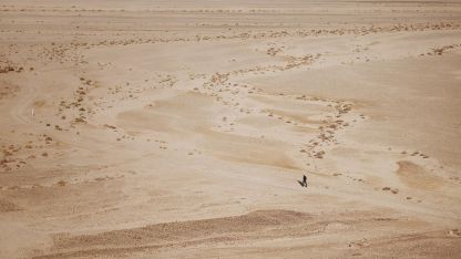 Ta pravá studna na poušti image:Image Ta pravá studna na poušti