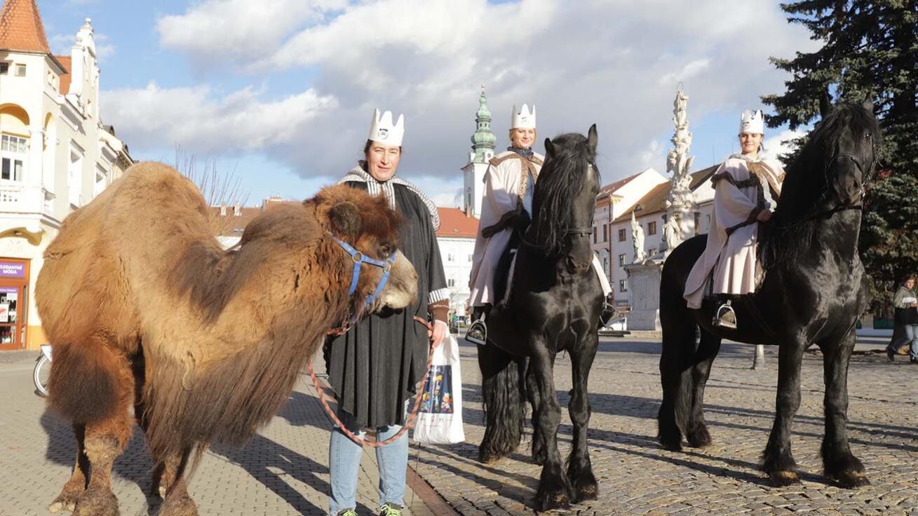 image:Image Uherským Hradištěm prošel v pondělí odpoledne průvod se třemi králi na koních. Ti připomínali mudrce z Východu, kteří měli přinést narozenému Spasiteli dary. Doprovázel je i velbloud. Charita Uherské Hradiště tak symbolicky zahájila Tříkrálovou sbírku.