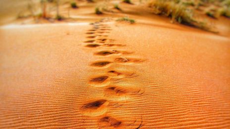 image:Image Jak překonat dnešní krize