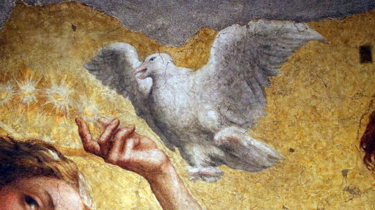 image:Image Antonio da Correggio (1489–1534): Korunování Panny Marie (detail s vyobrazením holubice, symbolem Ducha Svatého, malba, kol. 1521, Národní galerie v Parmě, Itálie).