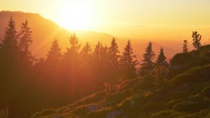 Hledat záblesky naděje image:Image Hledat záblesky naděje