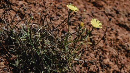 image:Image Co je nadějí křesťana?