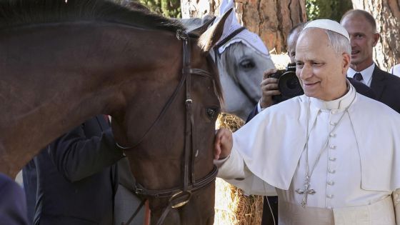 image:Image Papež vyzdvihl zodpovědnost člověka za péči o všechno stvoření ve „společném domově“.