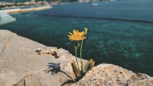 image:Image Církev žije tam, kde se láme svět