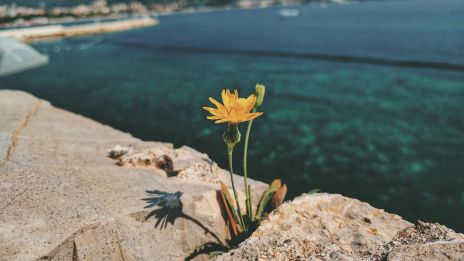 image:Image Církev žije tam, kde se láme svět