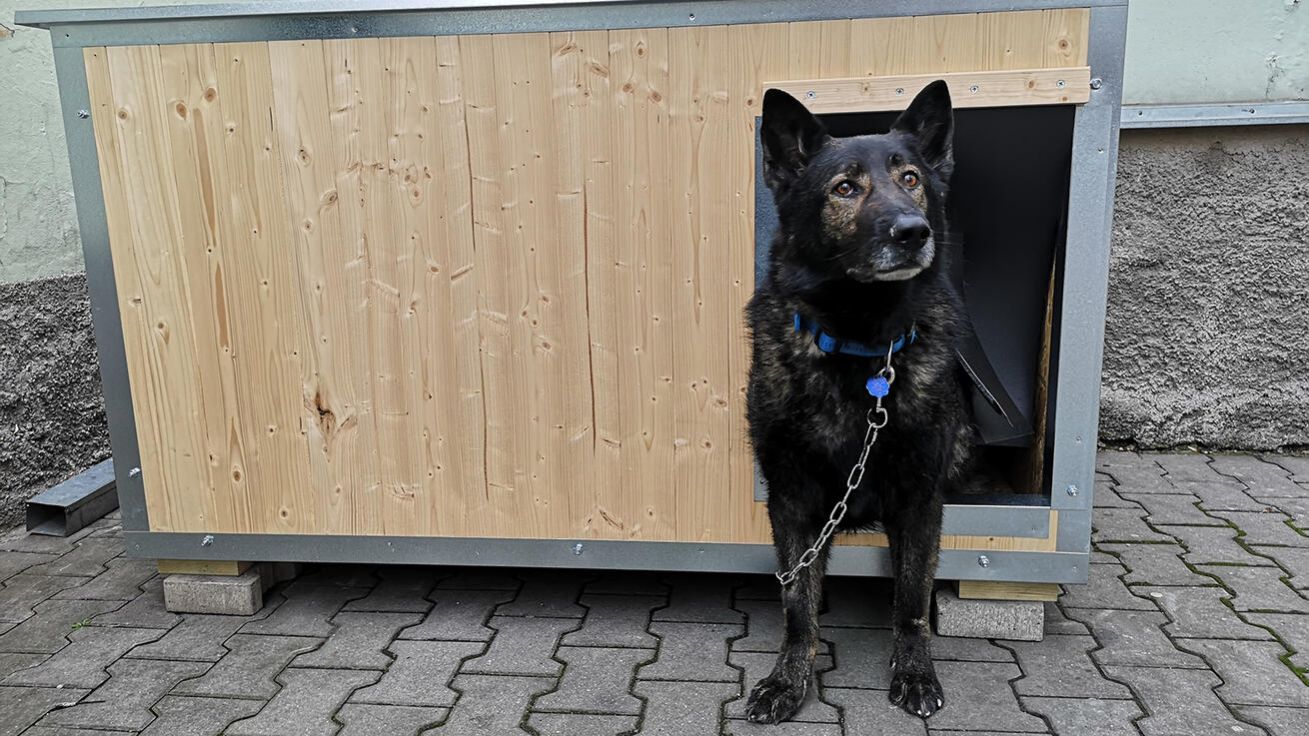 image:Image Domov sv. Františka v Plzni nabízí střechu nad hlavou lidem bez domova, kotce zase dočasný azyl pro jejich čtyřnohé souputníky.