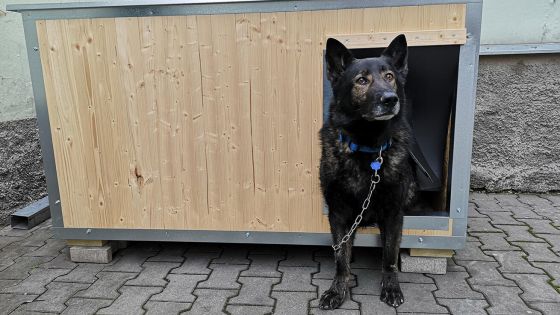 image:Image Domov sv. Františka v Plzni nabízí střechu nad hlavou lidem bez domova, kotce zase dočasný azyl pro jejich čtyřnohé souputníky.