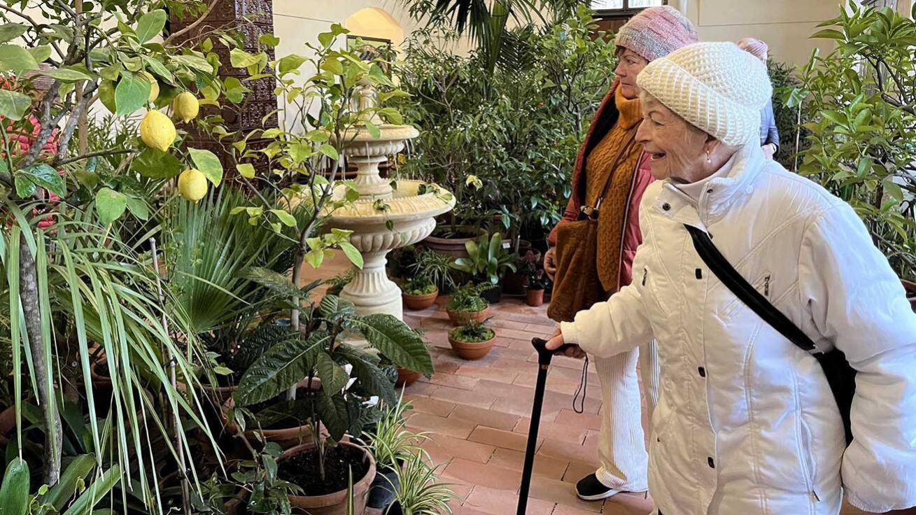 image:Image Při výstavě kamélií byla poprvé veřejnosti přístupná i nová klášterní oranžerie.