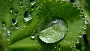 image:Image Setkání s Bohem v kapkách rosy