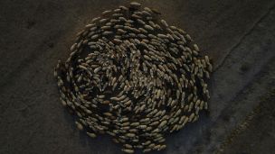 image:Image Být pokračováním Ježíšova života