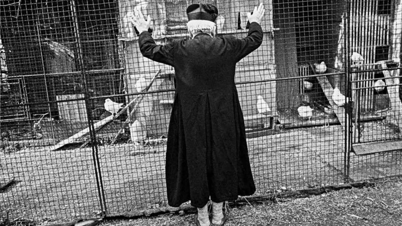 image:Image Bez názvu, 1982–1983.