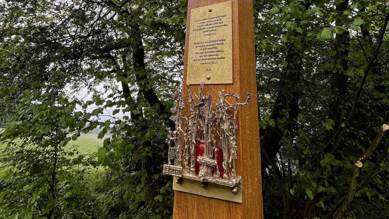 image:Image Nový dubový kříž vítá turisty a poutníky na vršku Papradná v katastru obce Žítková.