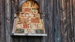 Hmyzí a jiné domečky image:Image Hmyzí a jiné domečky