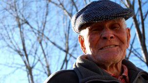 Jaké ovoce nese strom našeho života? image:Image Jaké ovoce nese strom našeho života?