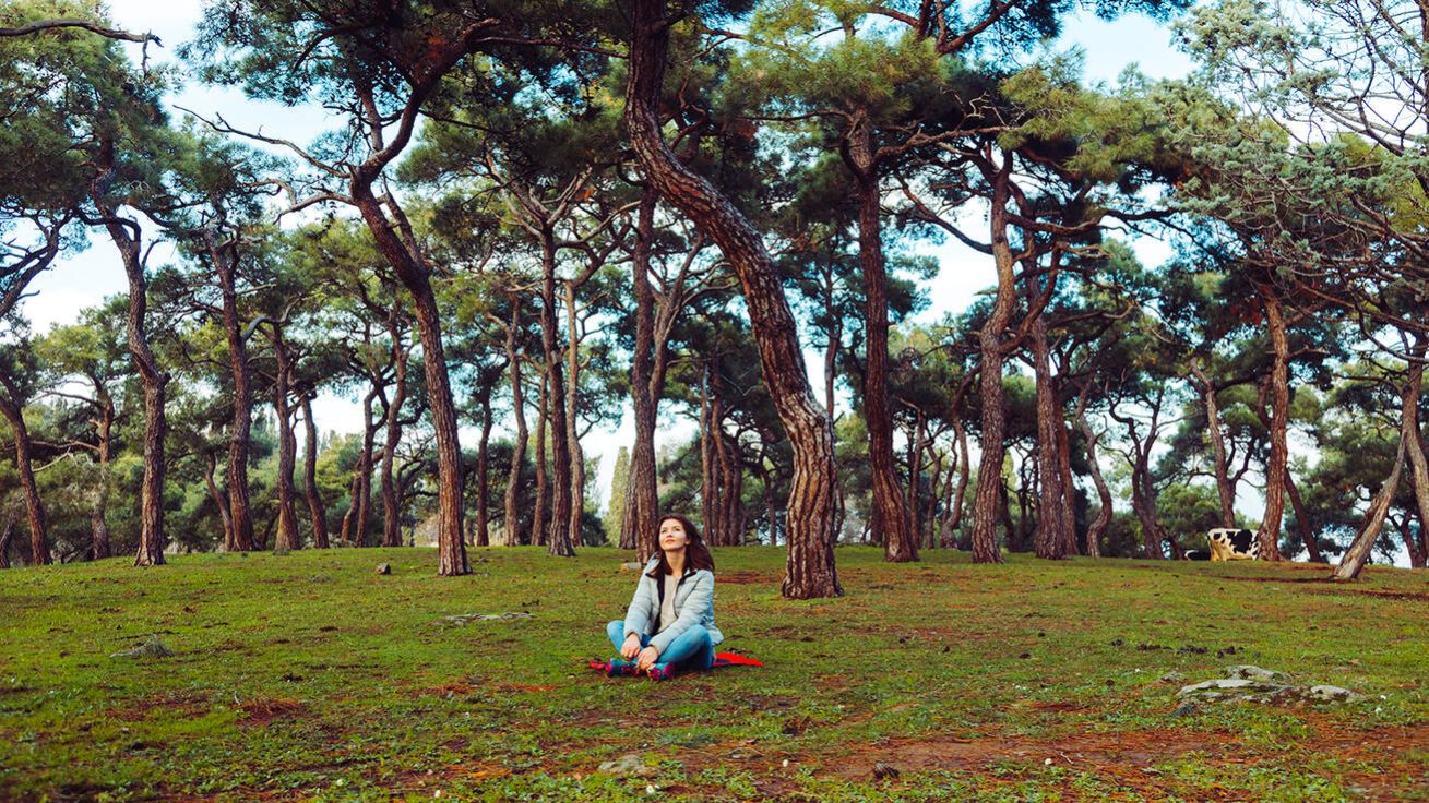 image:Image 