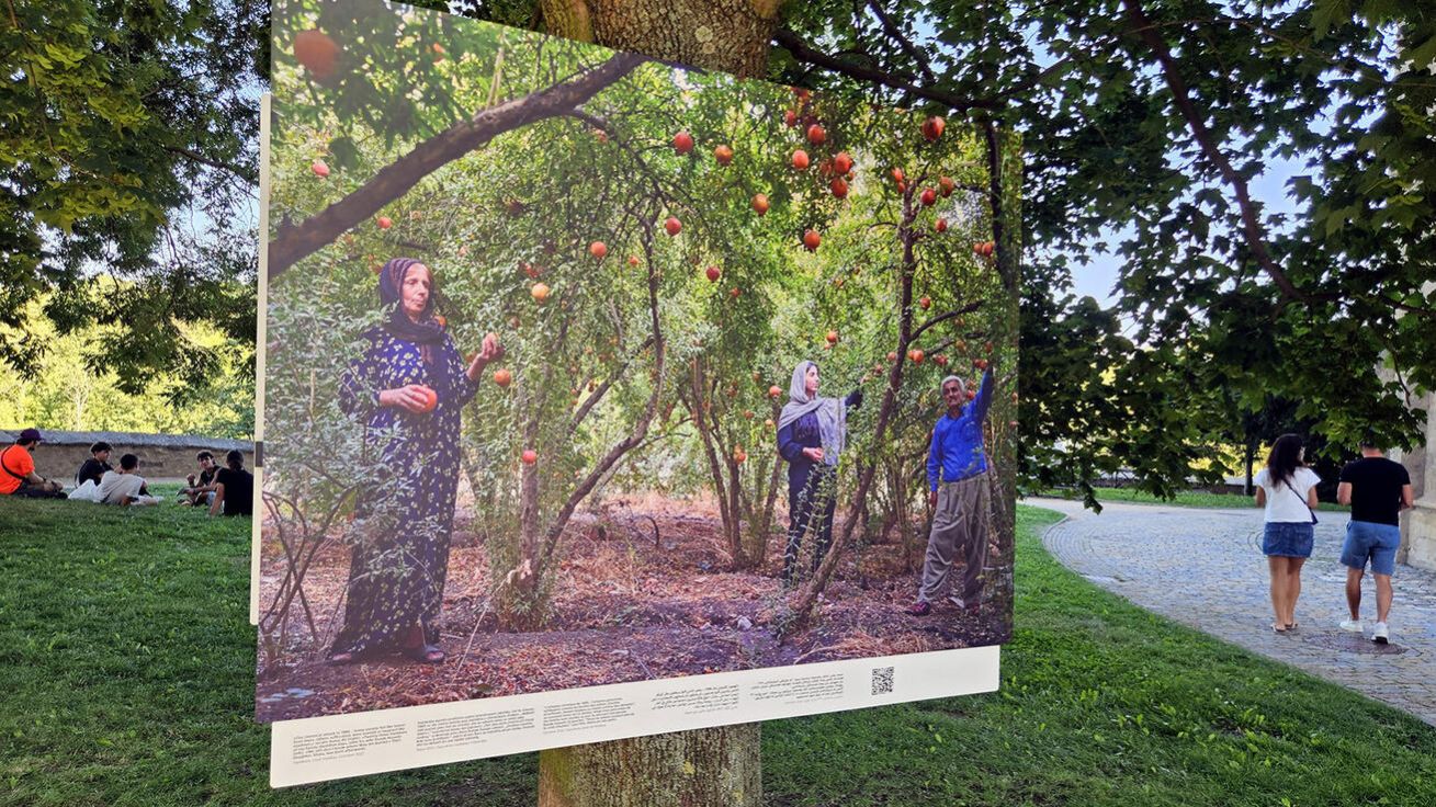 image:Image Fotografie jsou instalovány ve stromořadí kolem chrámu svaté Barbory, další snímky v chrámu a v kapli Božího těla. Ve veřejném prostoru zůstanou do konce září.