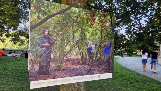 image:Image Fotografie jsou instalovány ve stromořadí kolem chrámu svaté Barbory, další snímky v chrámu a v kapli Božího těla. Ve veřejném prostoru zůstanou do konce září.