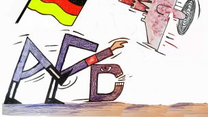 image:Image Jak dál po úspěších AfD?