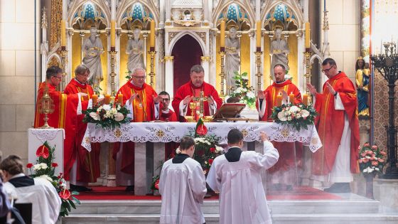 image:Image Bohoslužba v katedrále sv. Václava o svátku jejího patrona.
